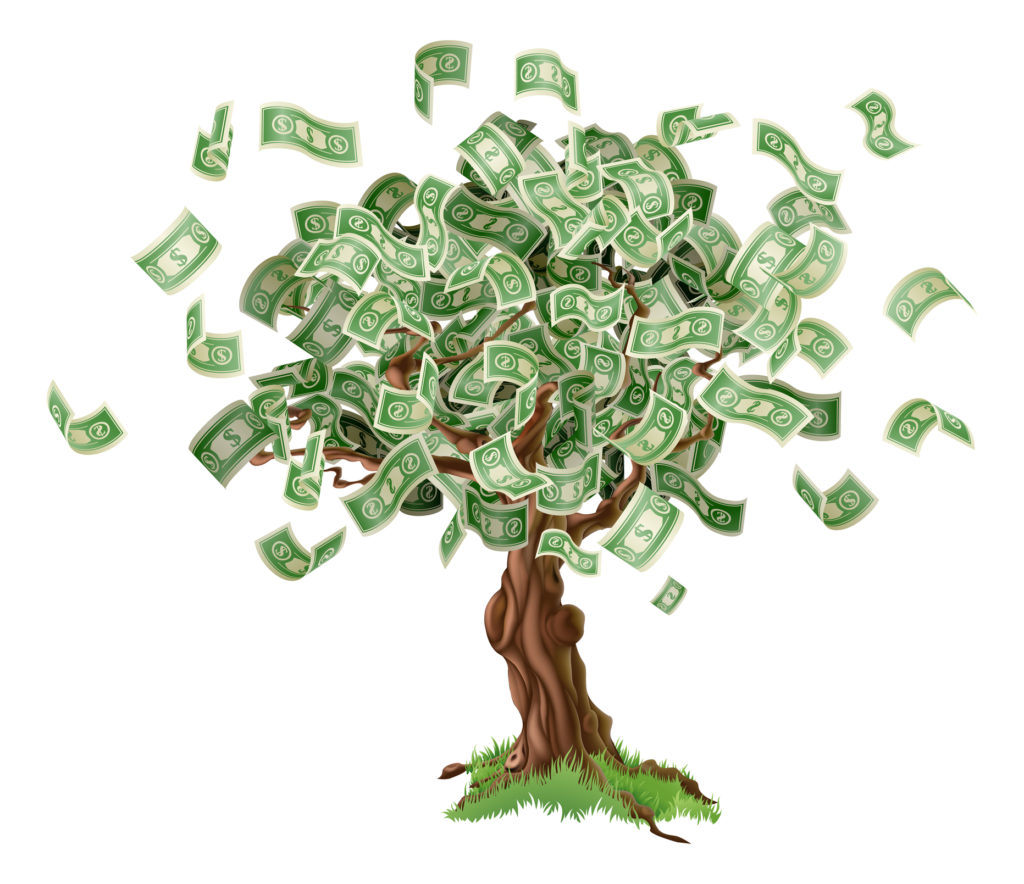 JBF money tree profit